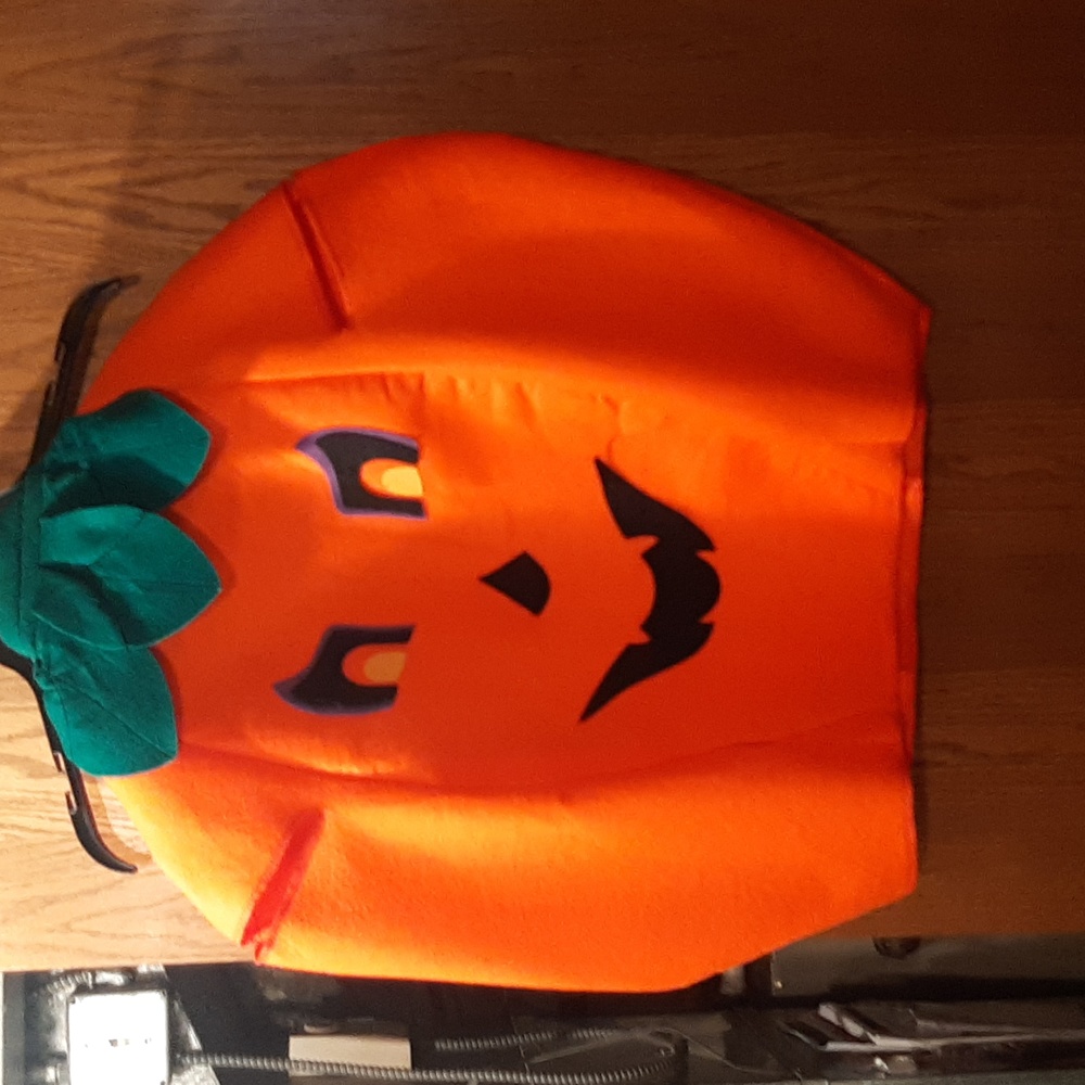 Kids Pumpkin Costume